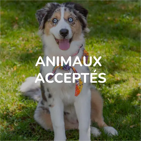 Premiere Classe Otel *